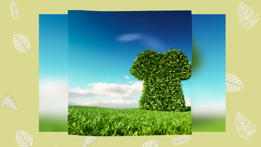 Moda ecosolidale, etica sostenibile_ le principali differenze.